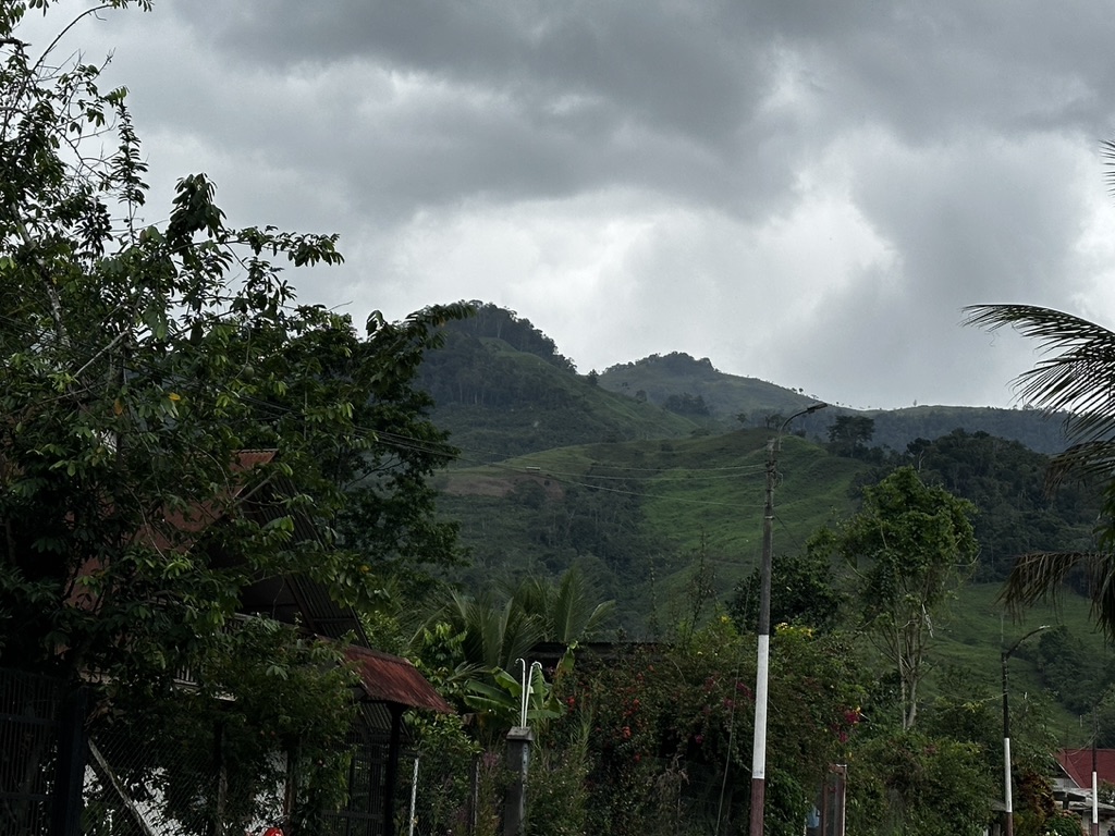 Cloud-covered highlands above Villa Rica, Peru