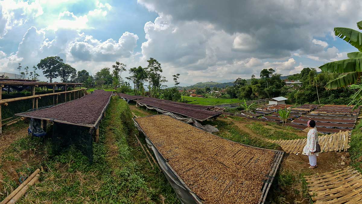 Indonesia