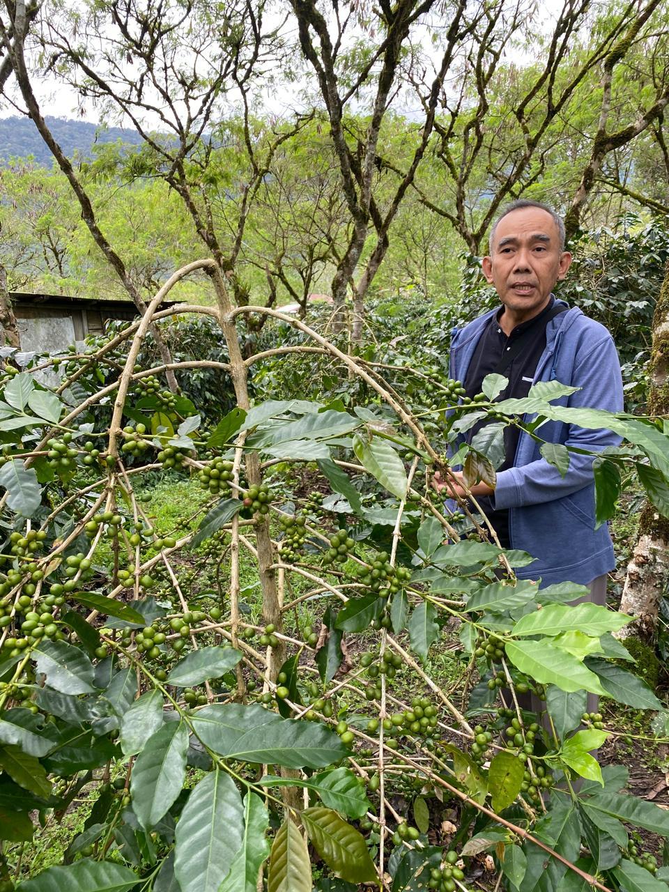 Finesse Coffee — producers and community