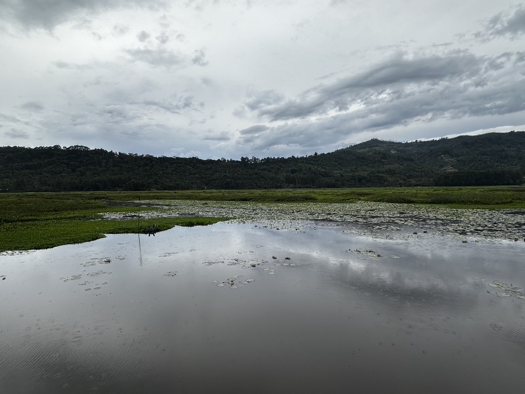 Wetlands near Oxapampa under overcast skies